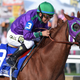 Illustration for article titled Who Is California Chrome?